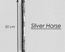 SILVER HORSE_5