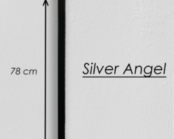 SILVER ANGEL_1